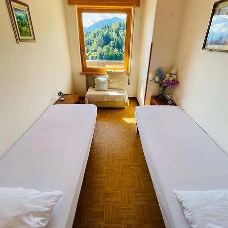 Appartamento Casa Darin Vigo di Cadore