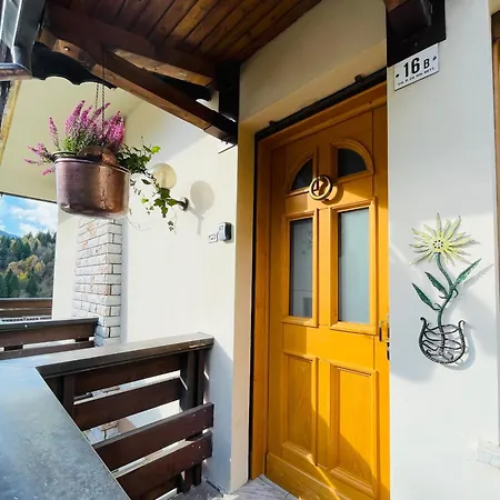 Апартаменты Casa Darin Виго-ди-Кадоре