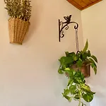 Apartamento Casa Darin *