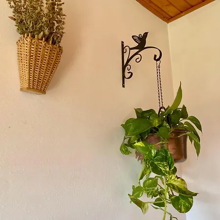 Διαμέρισμα Casa Darin *