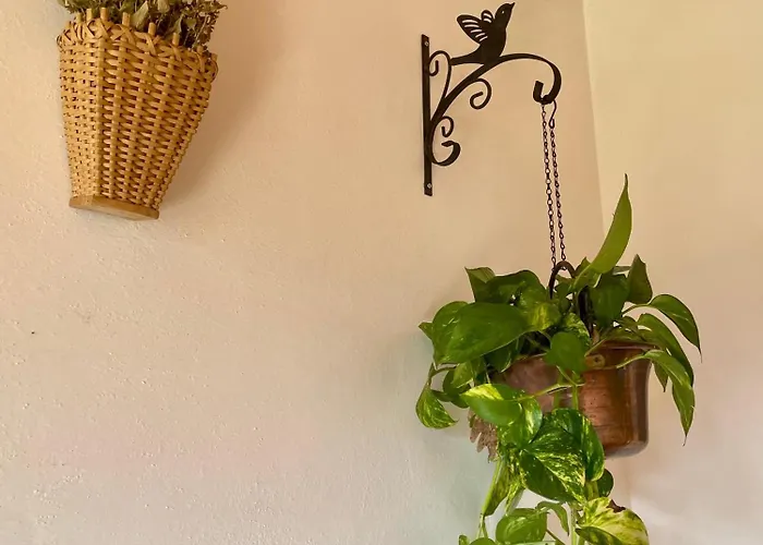 Apartamento Casa Darin *